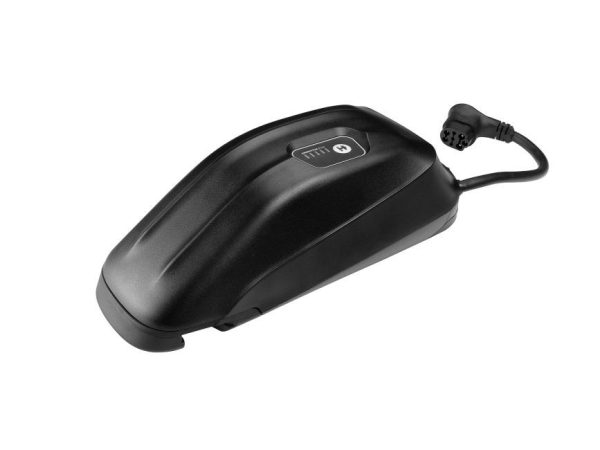 Giant Batteria al Litio EnergyPak 250Wh con Borsa